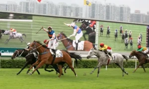 Tìm Hiểu Cá Cược Đua Ngựa Kingbet86 Vui Vẻ Dễ Thắng Lớn