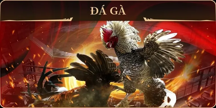 Chiến Thuật Chơi Đá Gà GA28 Tại Kingbet86 Hiệu Quả Nhất